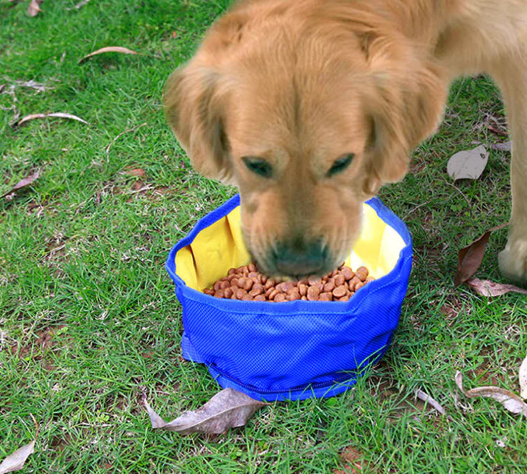 Portable Waterproof Foldable Dog Bowl for Pets