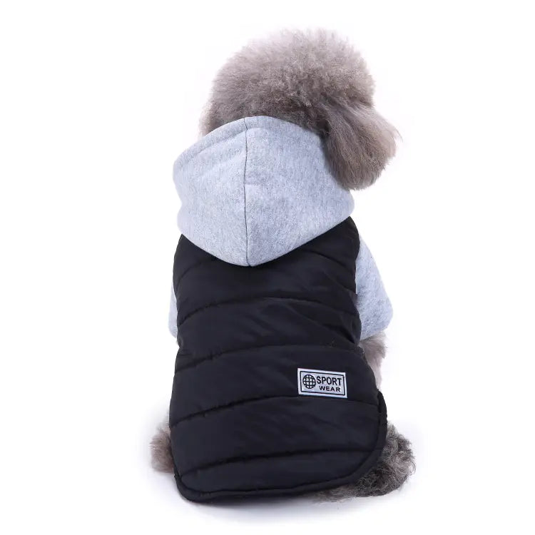 Autumn Winter Teddy Pet Sweater Apparel