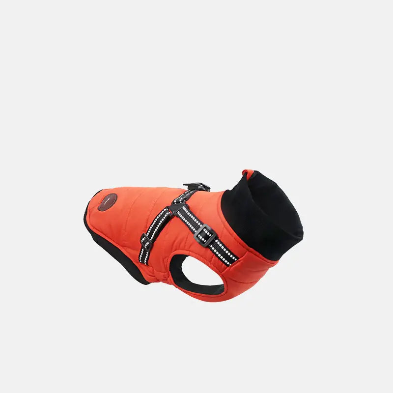 Warm Cotton-Padded Dog Clothes for Autumn and Winter