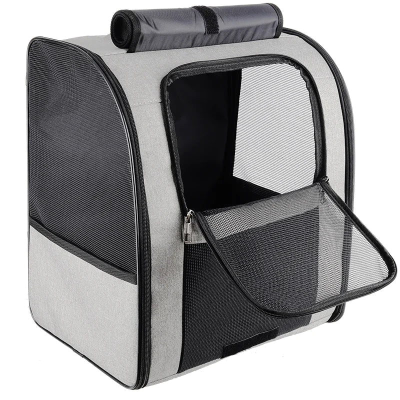 Mash Pet Carrier