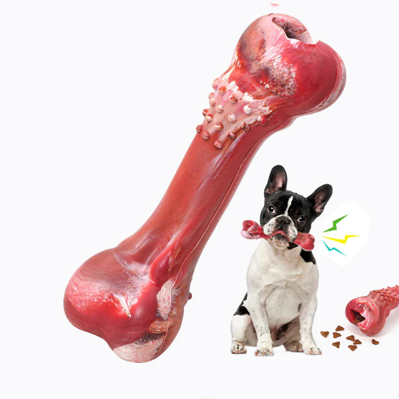 Dog Chewable Bone, Toy with Sound