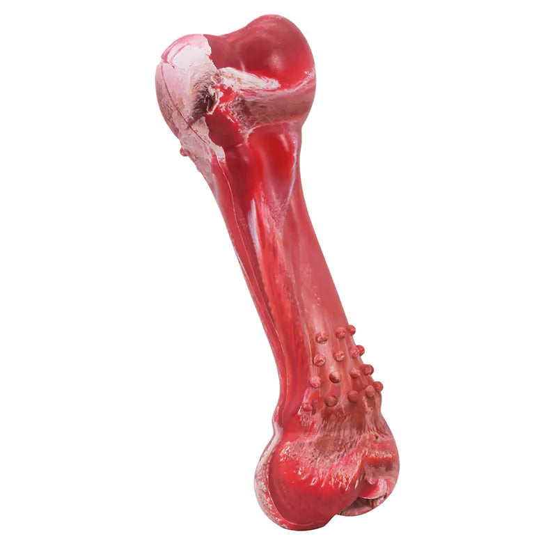 Dog Chewable Bone, Toy with Sound
