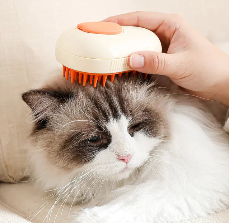 3-in-1 Steam Cat Hair Brush.